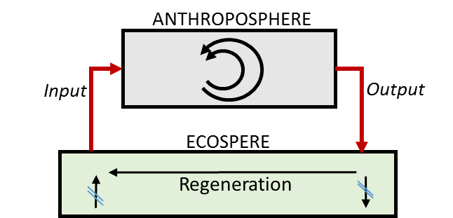 The conceptual understanding of circular economy in the socio-economic metabolism.