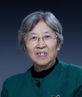Professor Yi Qian
